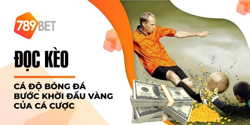 Hướng dẫn chơi cá độ thể thao 789BET