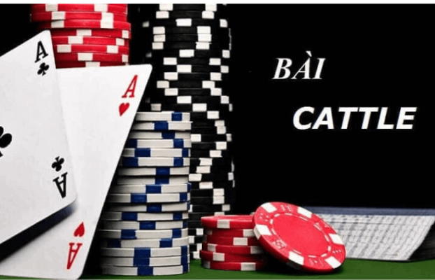 Chia sẻ cách chơi bài Catte Hit Club luôn thắng cho anh em bet thủ