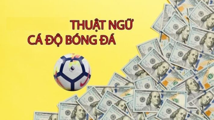 Các thuật ngữ cá cược tại Hitclub đa dạng