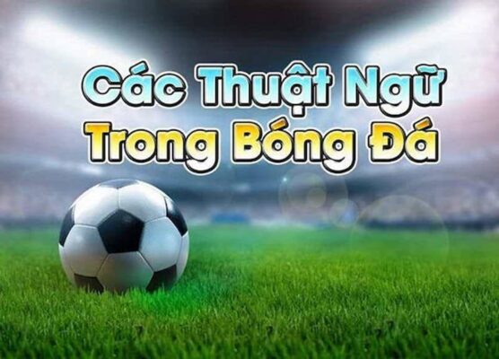 Một số điều cần biết về thuật ngữ cá cược