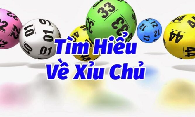 Xỉu Chủ Là Gì? Cách Soi Cầu Xỉu Chủ Chính Xác Từ Bet Thủ