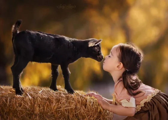 Luôn yêu thương động vật để cuộc sống tốt đẹp hơn