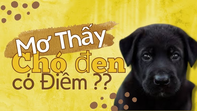 Nằm Mơ Thấy Chó Đen Thể Hiện 04 Tín hiệu Tốt Lành Hiếm Có